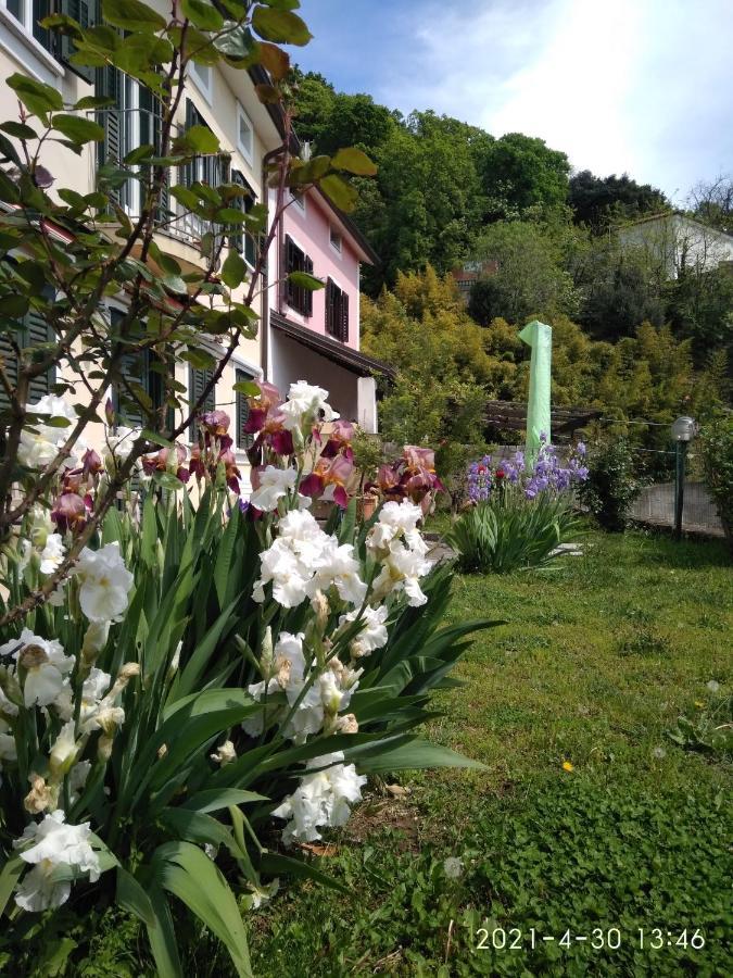 Alle Rose Barcolane Triest Exterior foto